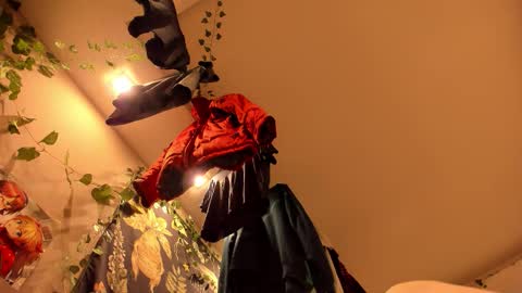 Snapshot of shadow_raffi chatting on 7, 11, 2025 shadow_raffi online show from 7, 11, 2025