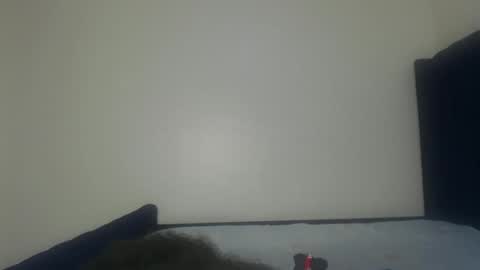 Snapshot of shadow_sweets chatting on 29, 11, 2025 Shadow online show from 29, 11, 2025