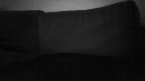 Snapshot of shamefullyshort chatting on 31, 5, 2026 Shorty online show from 31, 5, 2026