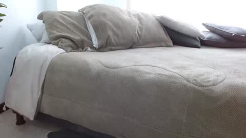 you shannon online show from 15, 9, 2025