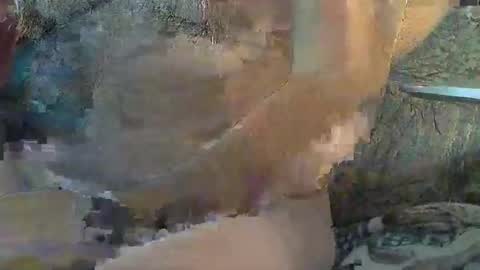 Snapshot of sharkey644 chatting on 11, 11, 2025 Sharkey644 online show from 11, 11, 2025