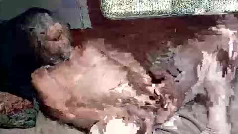 Snapshot of sharoc666 chatting on 4, 3, 2026 Shamroc online show from 4, 3, 2026