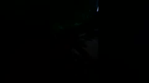 shaunhosking3 online show from 9, 2, 2026