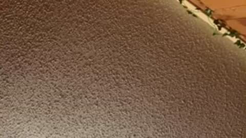 shaytin0 online show from 20, 12, 2025