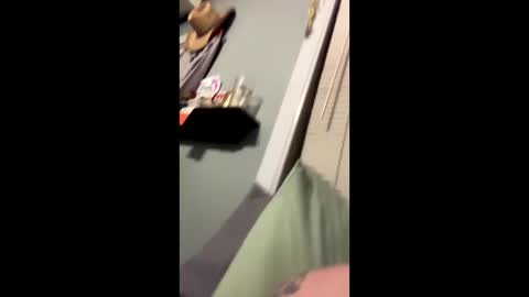 sheepydoggy45 online show from 2, 1, 2025