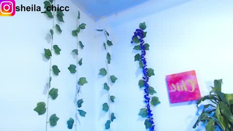 Snapshot of sheila_bigcok chatting on 9, 12, 2024 SHEILA  online show from 9, 12, 2024