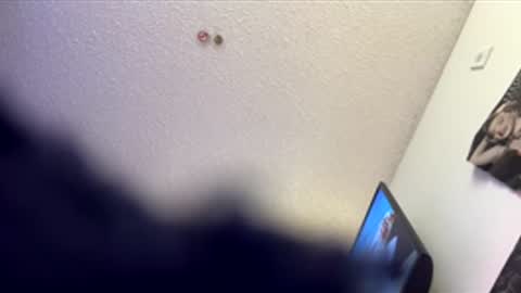 shelbsss17 online show from 31, 3, 2026