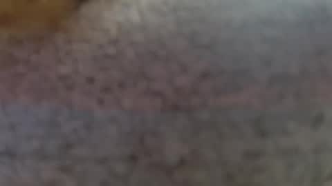 Erika online show from 25, 2, 2025