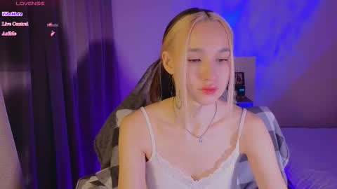 Sheyli online show from 8, 1, 2026