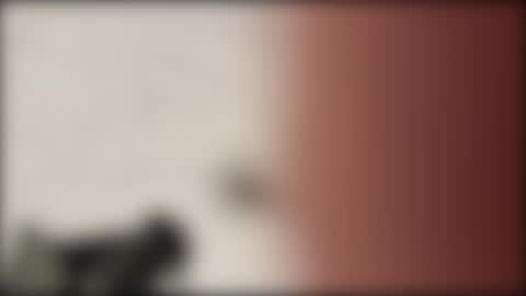 shifted1 online show from 1, 1, 2025