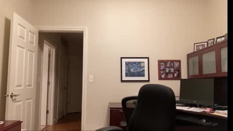 Chicago Guy online show from 25, 9, 2025