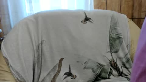 shy_in_bed online show from 30, 10, 2025