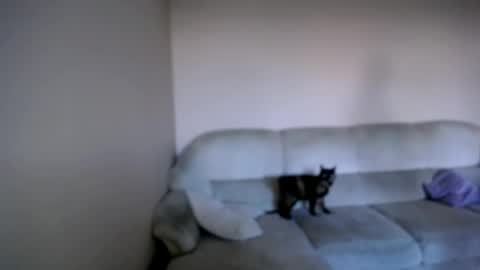 Snapshot of shy_sabrina_ chatting on 26, 4, 2026 shy_sabrina_ online show from 26, 4, 2026
