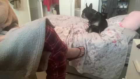 Snapshot of shyboy0533 chatting on 3, 11, 2025 shyboy0533 online show from 3, 11, 2025