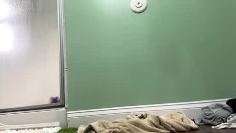 Sasha online show from 27, 2, 2025