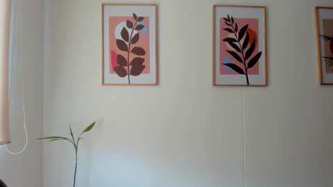 shylittlebunny online show from 11, 2, 2026