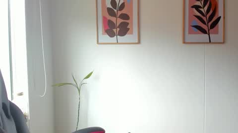 shylittlebunny online show from 30, 5, 2026