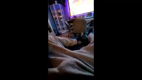 shynessy online show from 10, 2, 2025