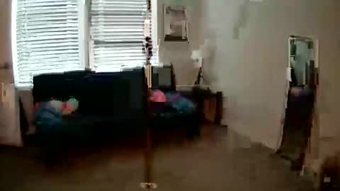 shypetitebaby online show from 1, 5, 2026