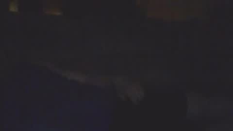 Bill online show from 11, 2, 2026