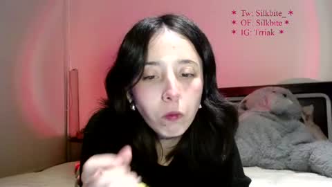 Snapshot of silkbite chatting on 16, 6, 2026 silkbite online show from 16, 6, 2026