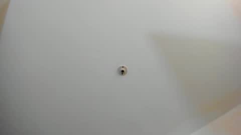 silvabranko online show from 2, 11, 2025