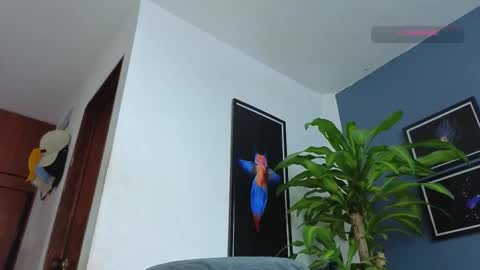 silvabranko online show from 18, 12, 2025