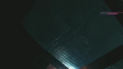 Snapshot of silvabranko chatting on 27, 4, 2026 silvabranko online show from 27, 4, 2026