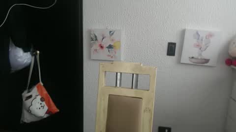 Snapshot of silvanaroberts_ chatting on 15, 1, 2026 Rouse online show from 15, 1, 2026