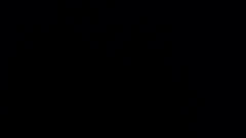 silvia_ls online show from 24, 2, 2025