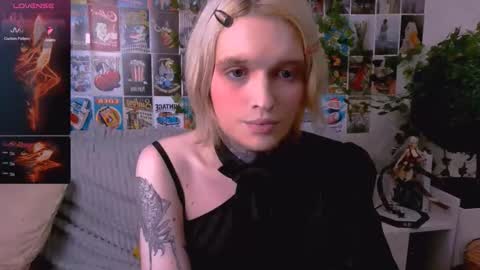 Simona online show from 15, 11, 2025