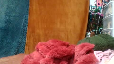 Snapshot of siofra chatting on 16, 11, 2025 Siofra online show from 16, 11, 2025