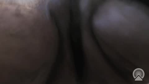 Sir Loin online show from 5, 12, 2025