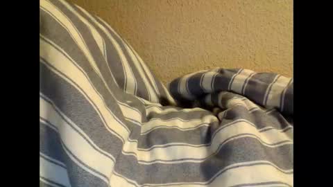 sircamalot45 online show from 17, 2, 2025