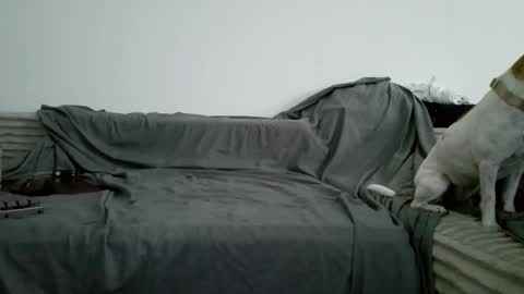 Snapshot of sircheese69x2 chatting on 6, 6, 2026 sircheese69x2 online show from 6, 6, 2026