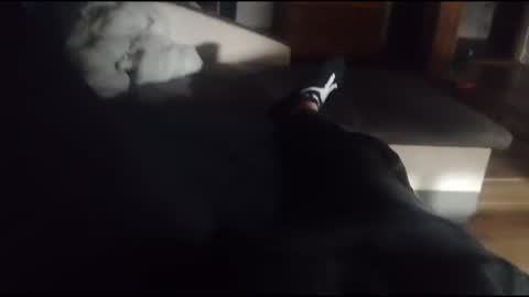 Snapshot of siren666777 chatting on 16, 10, 2025 siren666777 online show from 16, 10, 2025