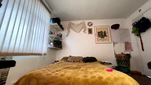 siriss_boyrag online show from 11, 3, 2026