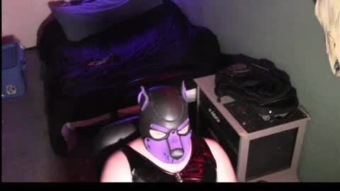 Snapshot of siriusmuttsky chatting on 30, 6, 2026 siriusmuttsky online show from 30, 6, 2026
