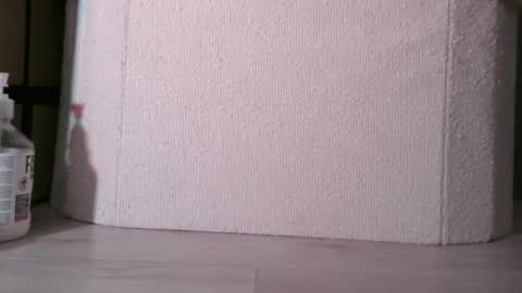 Snapshot of sis19student chatting on 3, 12, 2025 Anal4BTC online show from 3, 12, 2025