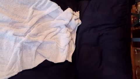 Snapshot of sisiam112 chatting on 1, 2, 2025 sisiam112 online show from 1, 2, 2025