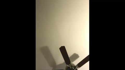 Snapshot of sissynovaholes chatting on 4, 1, 2025 sissynovaholes online show from 4, 1, 2025