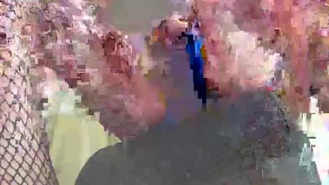 sissywithnuts online show from 19, 10, 2025