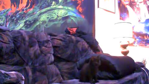 Jimmy B online show from 4, 1, 2025