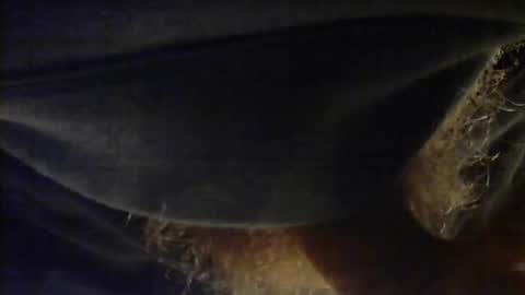 sjim368 online show from 2, 12, 2025