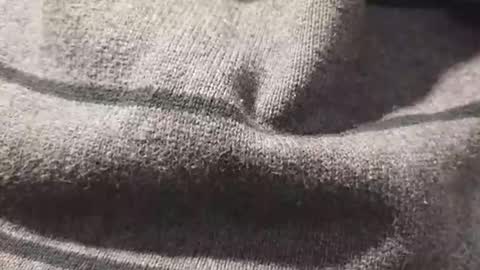 skeetzmgee online show from 12, 11, 2025