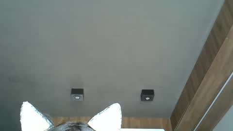 skinnykittencam online show from 7, 10, 2025