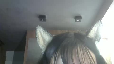 skinnykittencam online show from 13, 3, 2026