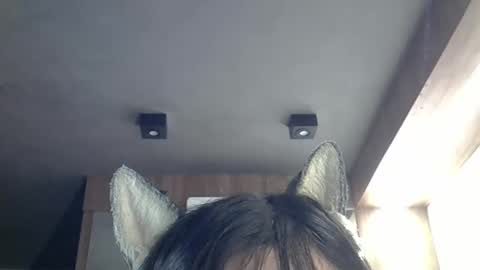 skinnykittencam online show from 14, 3, 2026