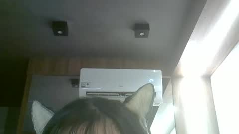 skinnykittencam online show from 11, 4, 2026