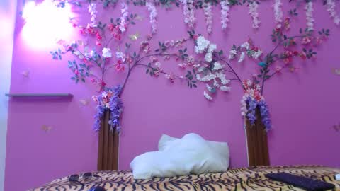 sofia online show from 5, 2, 2026